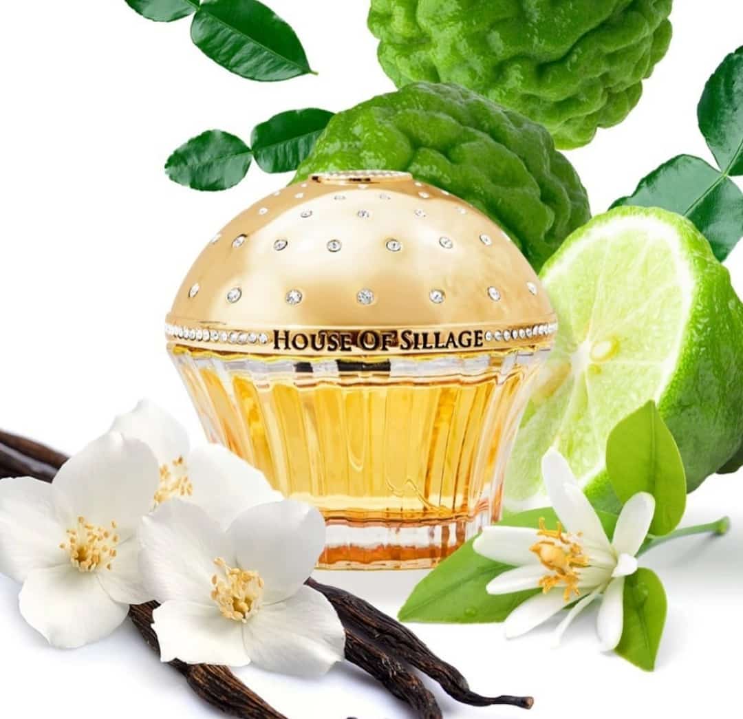 HOUSE OF SILLAGE LUXURY NICHE- Benevolence 75ml Extrait
