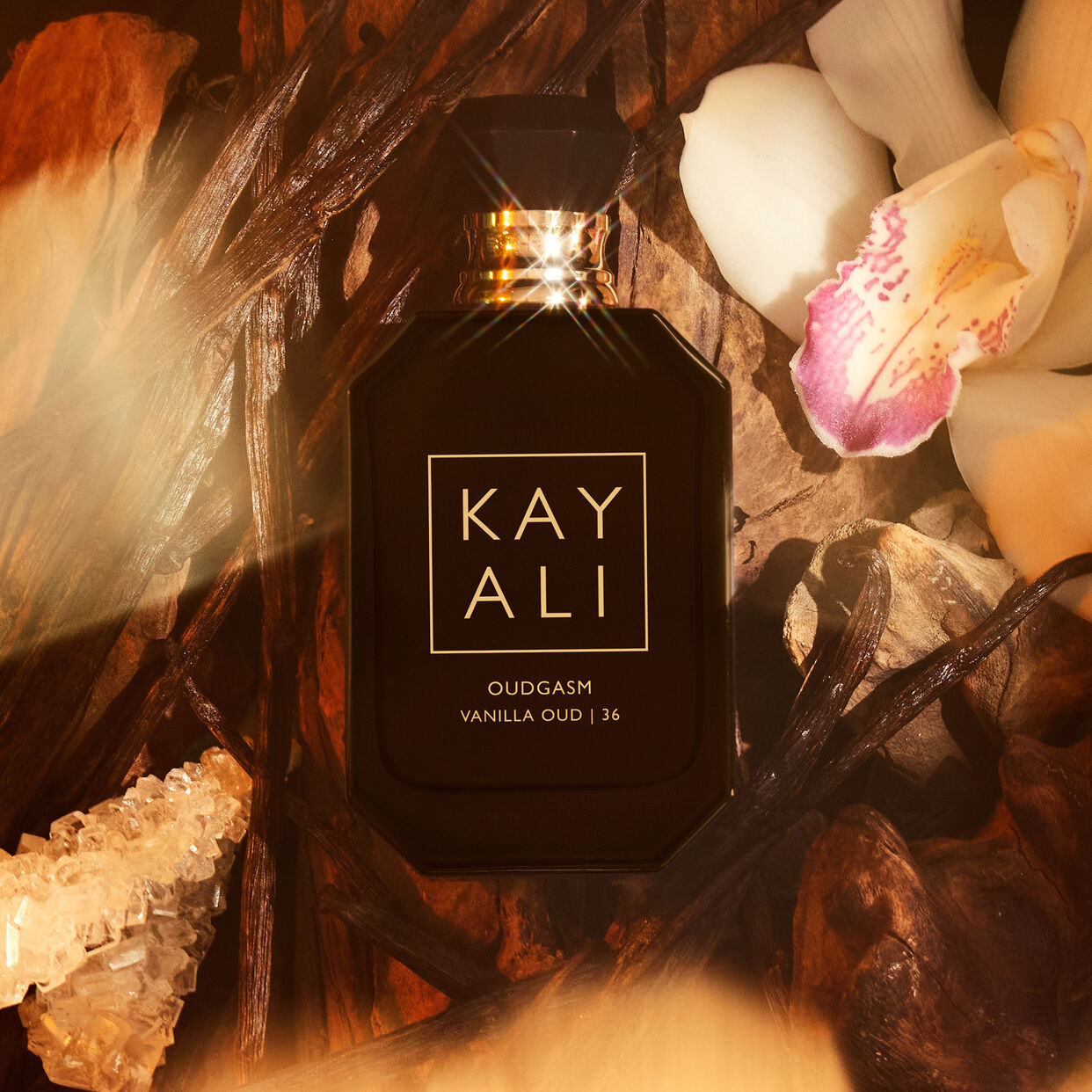 KAY ALI - Oudgasm Vanilla  Oud | 19 Eau de Parfum Intense 50mls EDP