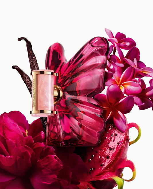 CAROLINA HERRERA -   La Bomba  Perfume 80 ml EDP