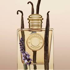 BURBERRY - Burberry Goddess for women 100 ml EDP- New Release 2023!!!